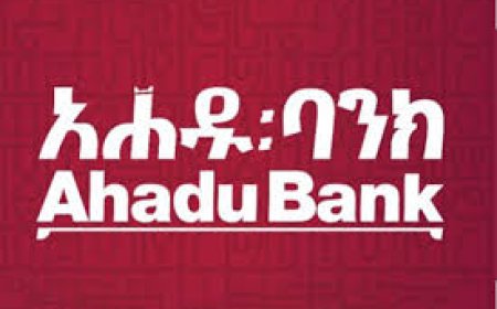 Branch Manager (Addis Ababa Branch) Job Vacancy in Ethiopia 2026 – Ahadu Bank S.C