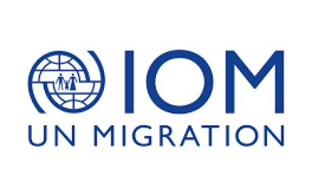 International Consultant Editor-In-Chief AMR3 Jobs in Ethiopia 2026 – IOM Vacancy