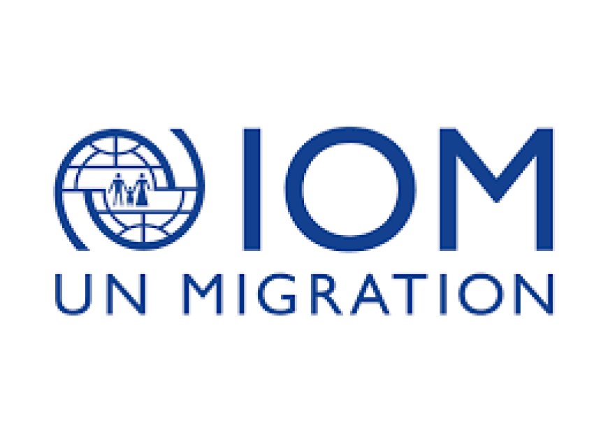 Programme Support Officer Jobs in Ethiopia 2026 – IOM Vacancy