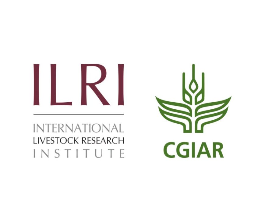 Data Management and Analytics Officer Job in Ethiopia 2026 | ILRI Careers