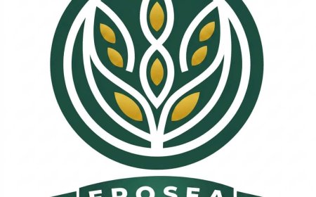 IT Officer Job at EPOSEA Addis Ababa 2026
