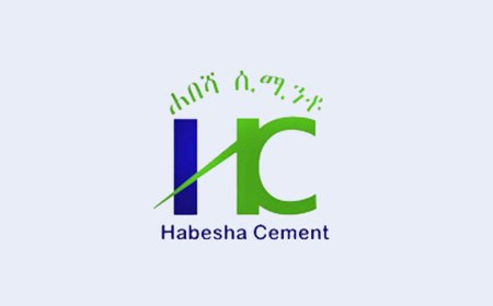 Automotive Maintenance Manager – Habesha Cement (Holota)
