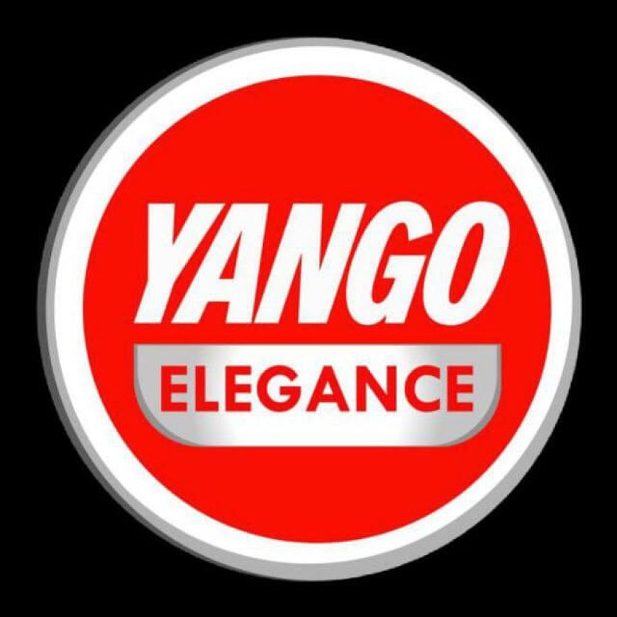 Executive Secretary Job at Yango Elegance – Addis Ababa