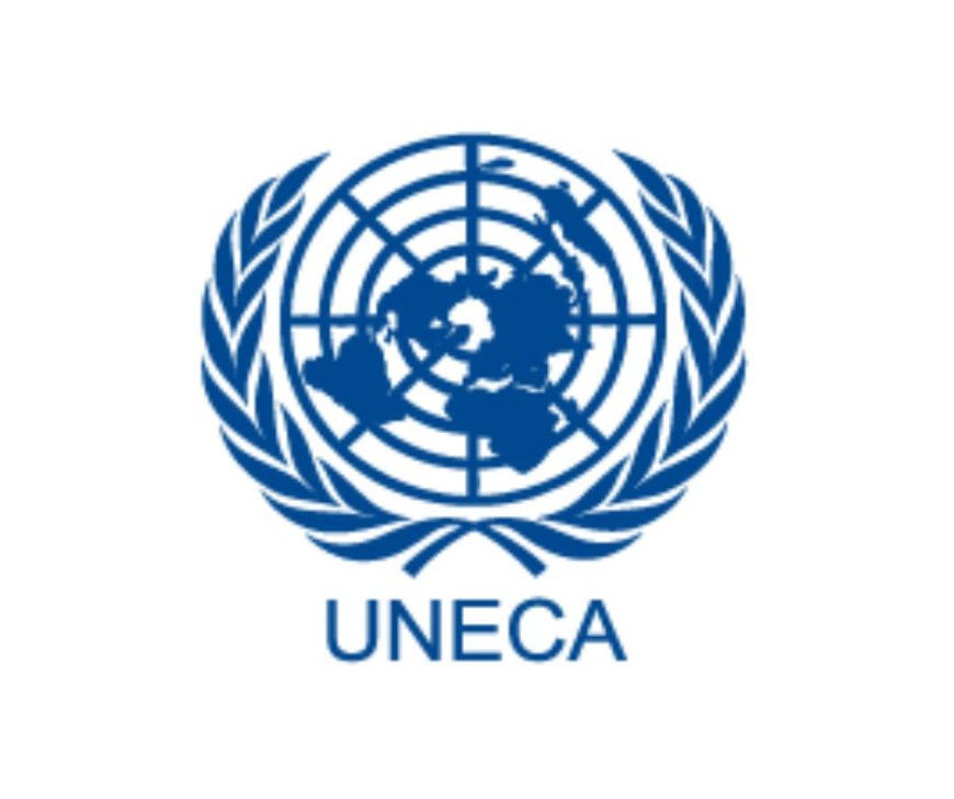 Shipping Assistant Job at UNECA – Addis Ababa