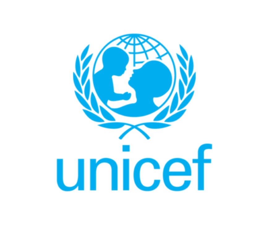 Senior Immunization Demand Promotion Consultant – UNICEF