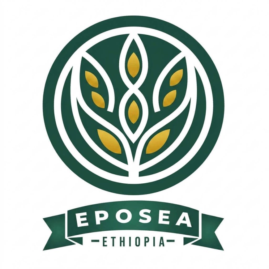IT Officer Job at EPOSEA Addis Ababa 2026